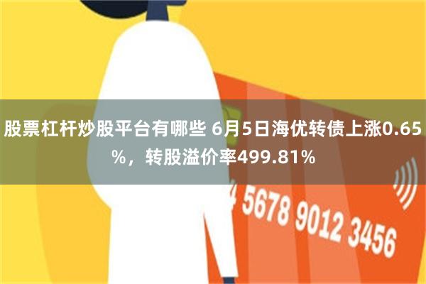 股票杠杆炒股平台有哪些 6月5日海优转债上涨0.65%，转股溢价率499.81%