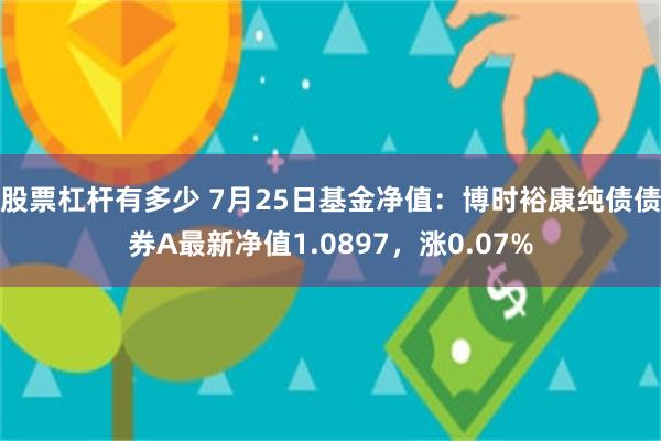 股票杠杆有多少 7月25日基金净值：博时裕康纯债债券A最新净值1.0897，涨0.07%