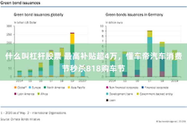 什么叫杠杆股票 最高补贴超4万，懂车帝汽车消费节秒杀818购车节