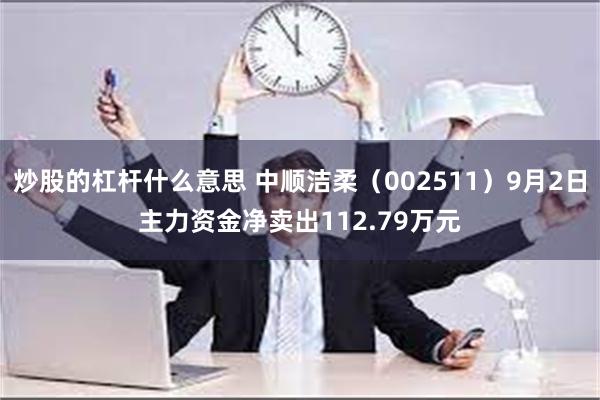 炒股的杠杆什么意思 中顺洁柔（002511）9月2日主力资金净卖出112.79万元