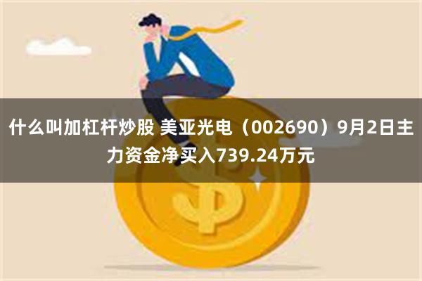 什么叫加杠杆炒股 美亚光电（002690）9月2日主力资金净买入739.24万元