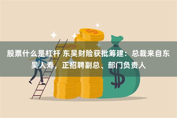 股票什么是杠杆 东吴财险获批筹建：总裁来自东吴人寿，正招聘副