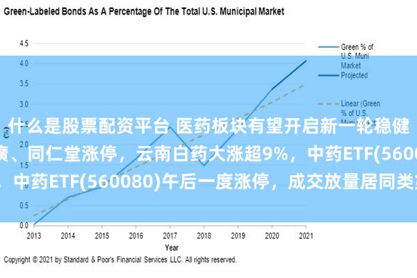 什么是股票配资平台 医药板块有望开启新一轮稳健成长的周期，片仔癀、同仁堂涨停，云南白药大涨超9%，中药ETF(560080)午后一度涨停，成交放量居同类第一