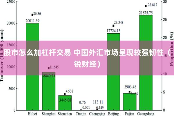 股市怎么加杠杆交易 中国外汇市场呈现较强韧性（锐财经）