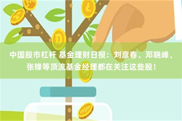 中国股市杠杆 基金理财日报：刘彦春、邓晓峰、张锋等顶流基金经理都在关注这些股！