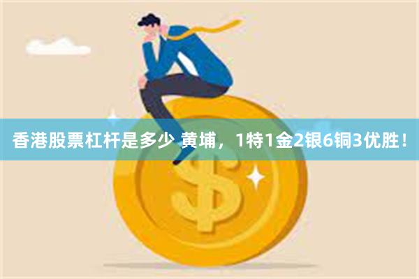 香港股票杠杆是多少 黄埔，1特1金2银6铜3优胜！