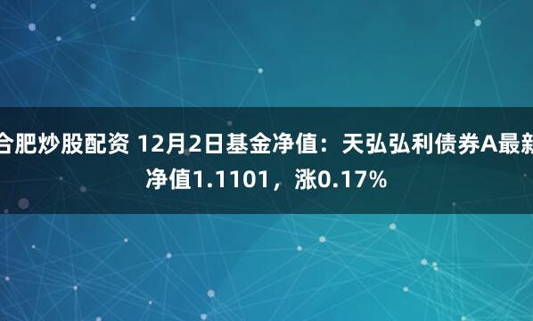 合肥炒股配资 12月2日基金净值：天弘弘利债券A最新净值1.1101，涨0.17%