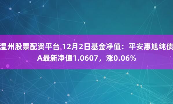 温州股票配资平台 12月2日基金净值：平安惠旭纯债A最新净值1.0607，涨0.06%