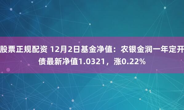 股票正规配资 12月2日基金净值：农银金润一年定开债最新净值1.0321，涨0.22%