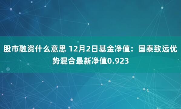 股市融资什么意思 12月2日基金净值：国泰致远优势混合最新净值0.923