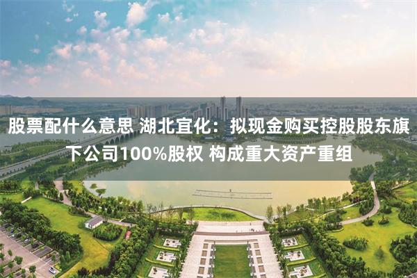 股票配什么意思 湖北宜化：拟现金购买控股股东旗下公司100%股权 构成重大资产重组