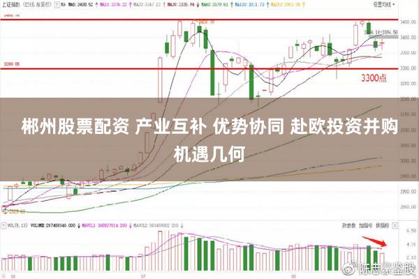 郴州股票配资 产业互补 优势协同 赴欧投资并购机遇几何