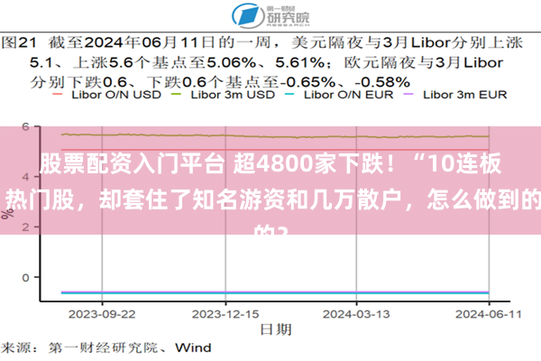 股票配资入门平台 超4800家下跌！“10连板”热门股，却套住了知名游资和几万散户，怎么做到的？