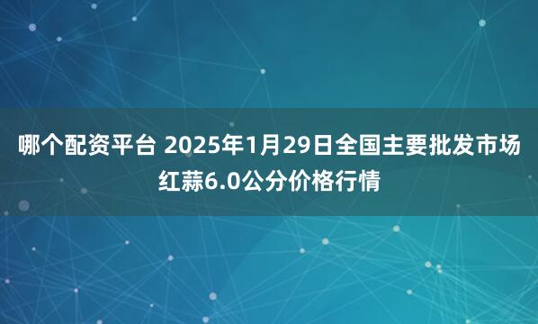 哪个配资平台 2025年1月29日全国主要批发市场红蒜6.0公分价格行情