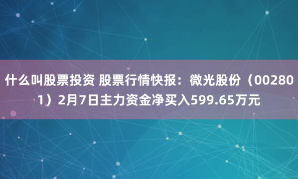 什么叫股票投资 股票行情快报：微光股份（002801）2月7日主力资金净买入599.65万元