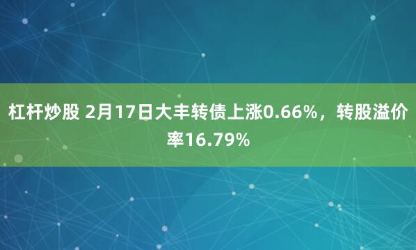 杠杆炒股 2月17日大丰转债上涨0.66%，转股溢价率16.79%