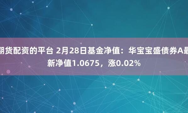 期货配资的平台 2月28日基金净值：华宝宝盛债券A最新净值1.0675，涨0.02%