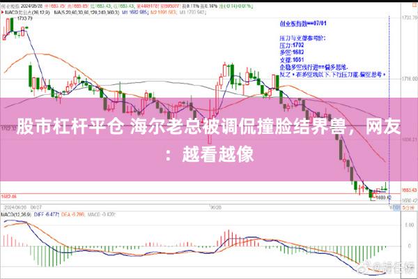 股市杠杆平仓 海尔老总被调侃撞脸结界兽，网友：越看越像