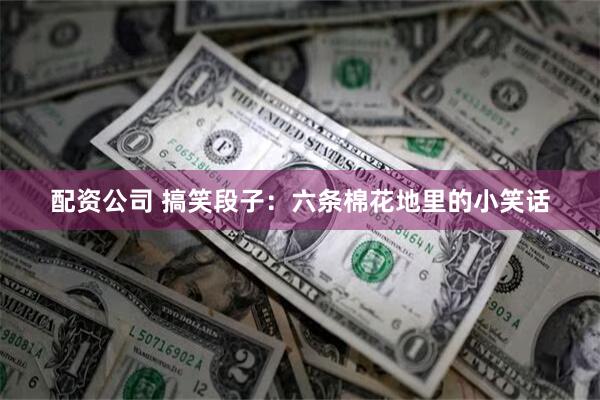 配资公司 搞笑段子：六条棉花地里的小笑话